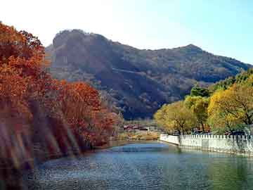 管家婆黑白马报图库，送快餐的店员